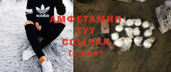 индика Кукмор