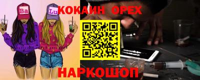 шишки Камышлов
