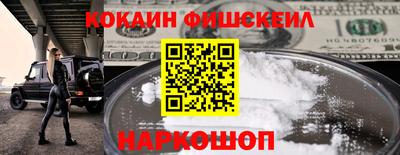 шишки Камышлов