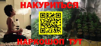 шишки Камышлов