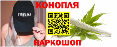 ПСИЛОЦИБИНОВЫЕ ГРИБЫ Кандалакша