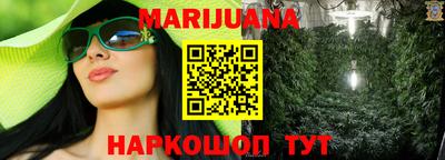 шишки Камышлов