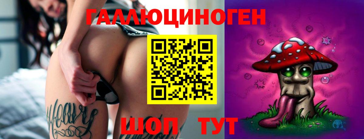 Псилоцибиновые грибы Psilocybe Оренбург