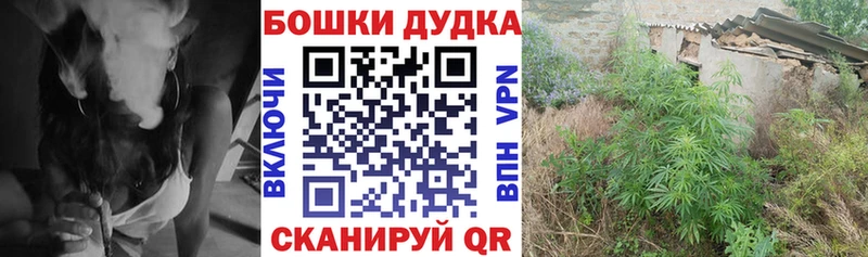 Шишки марихуана план  Оренбург 
